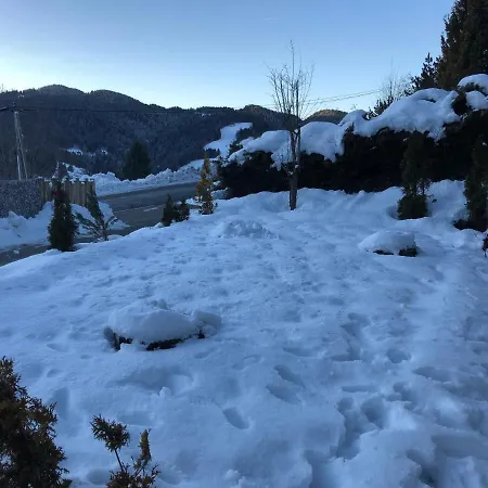 Chalet Les Tulipes Apartment