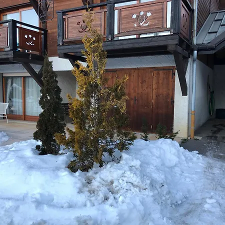 Chalet Les Tulipes Les Gets
